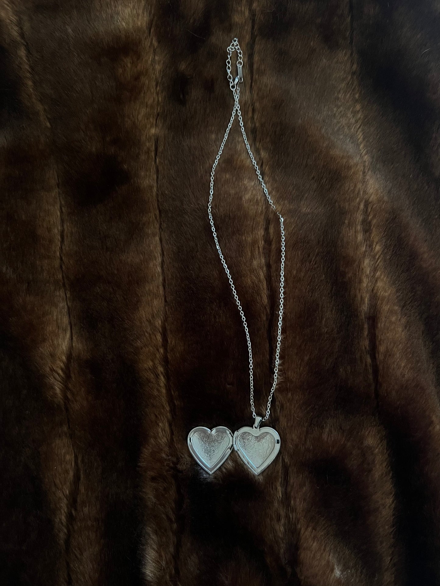 swan lake locket